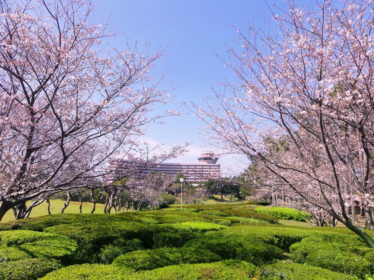 Ibusuki Iwasaki Hotel Exterior photo